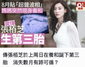 张柏芝娱乐圈八卦最新爆料,揭秘不为人知的幕后故事 第2张 张柏芝娱乐圈八卦最新爆料,揭秘不为人知的幕后故事 第2张